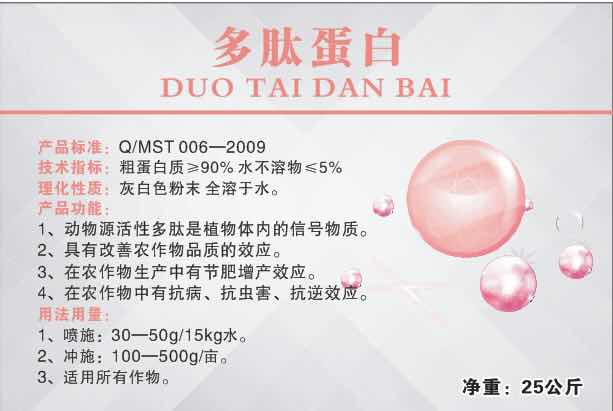 ���ĵ���